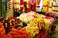 Flowers importance in hindu puja