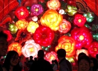 Chinese Lunar New Year Celebrations 2014
