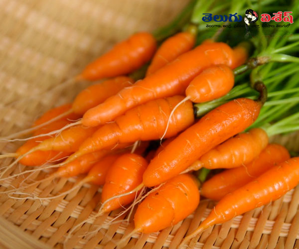 Photo of 0 | healthy home remedies | body fat break down tips | క్యారెట్స్ (Carrots)