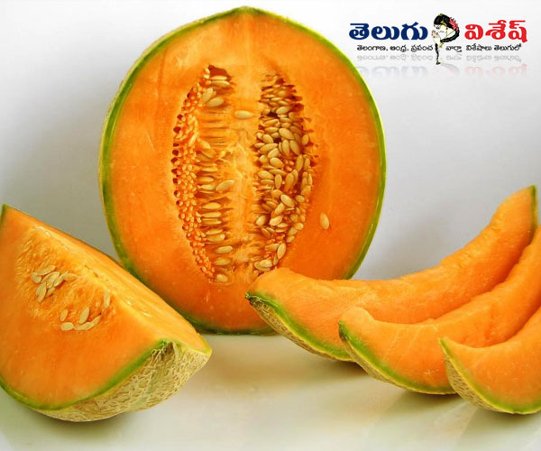 Photo of 0 | healthy home remedies | orange foods for weight loss | మస్క్ మెలోన్ (musk melon)