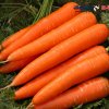 క్యారెట్స్ (carrots)
