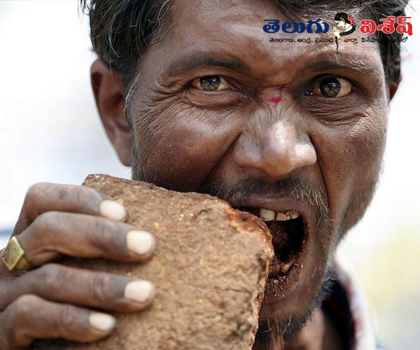 people ate ridiculous foods | bizzare things | ఇటుకలు & రాళ్లు (Bricks and stones) | Photo of 0
