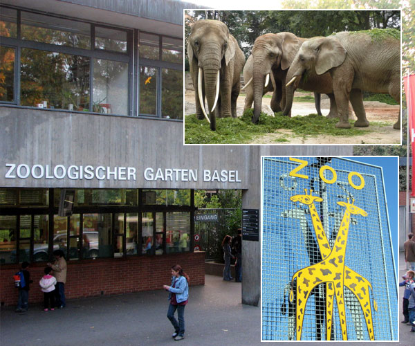 best zoos in world | జూ బాసెల్ (Zoo Basel) | Berlin Zoo | Photo of 0