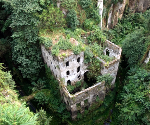 నిషేధించబడిన మిల్లు (Abandoned Mill) : | the haunted places | Photo of 0 | the dangerous places