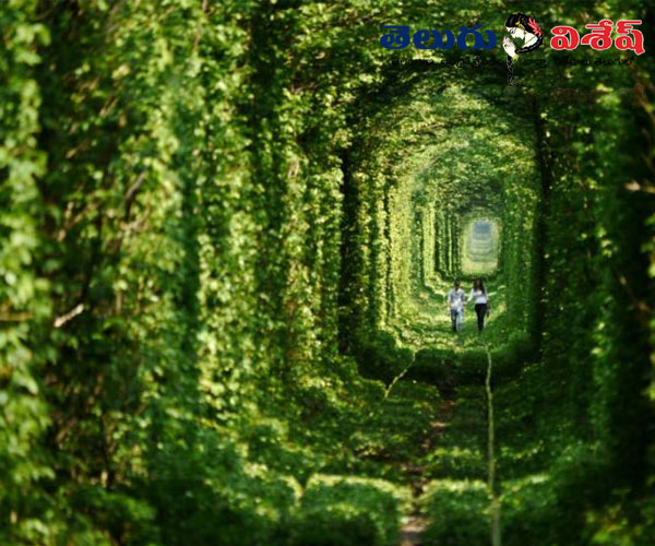 లవ్ టన్నెల్ (Tunnel of Love) | hidden wonders of world | best places in world | Photo of 0