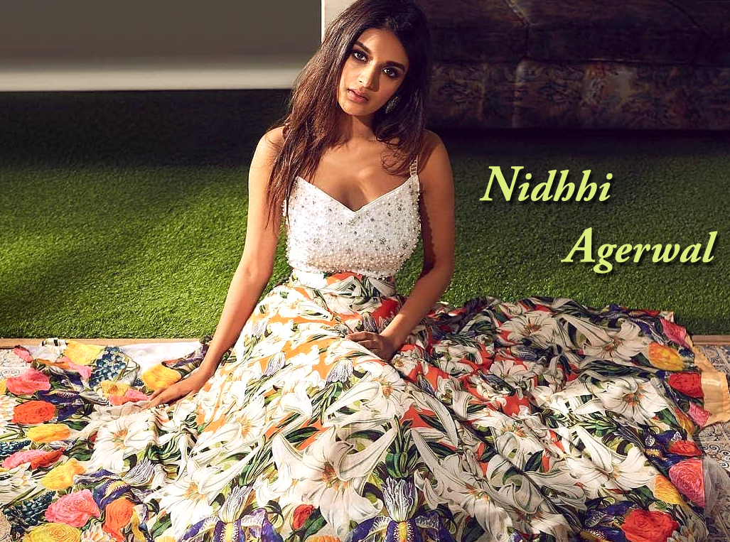 Actress Nidhhi Agerwal | Photo 3of 3 | Nidhhi-Agerwal-Wallpapers-01 | Actress Wallpapers