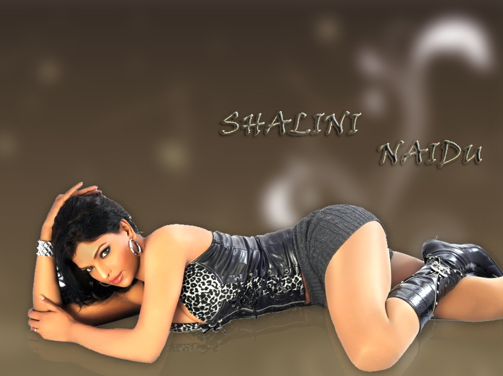 Shalini Naidu Spicy Photos | Shalini-Naidu-Spicy-Wallpapers-01 | Shalini Naidu HD Wallpapers | Photo 3of 3