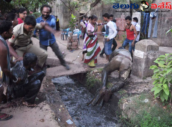 Police-attacked-by-mob-03