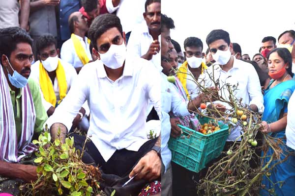 Nara Lokesh AP Tour