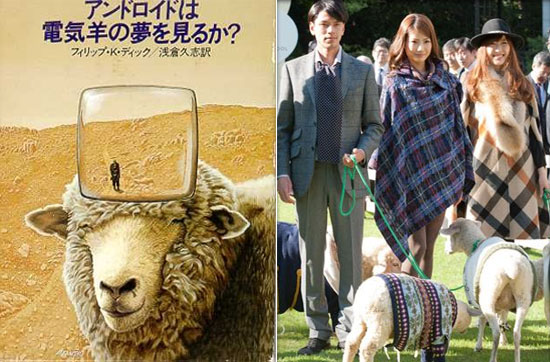 Japan Inaugurates World s First Hotel for Sheep