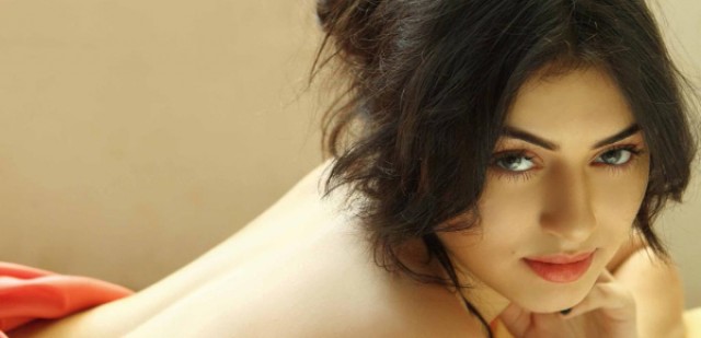 actress hansika future plan
