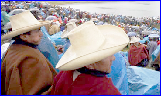 Peruvian gold mine suspended  