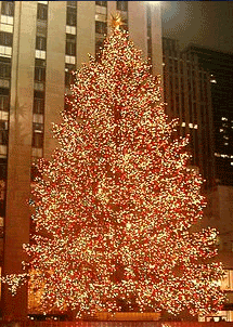 x-mas-tree
