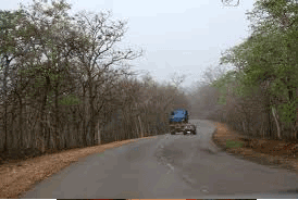 tirumala-ghats
