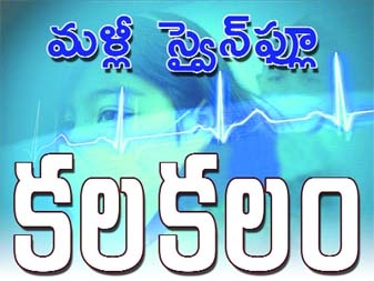 Two fresh cases of swine flu reported in Andhra Pradesh