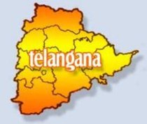 new political party for telangana cause