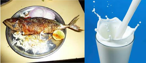 fish 