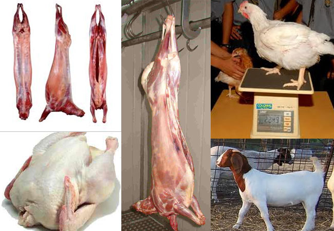John Swinney: Plenty of work available at meat factory facing closure