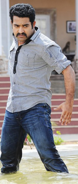 Dhammu_1