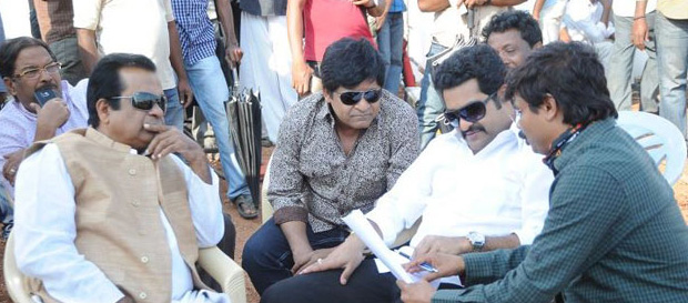 dammu