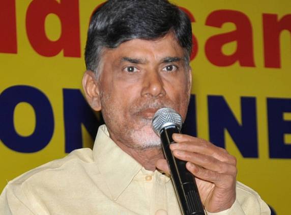 Naidu's choices for RS sparks rebellion