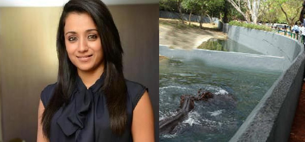 trisha