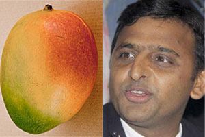 Akhilesh-Mango