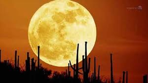 moon