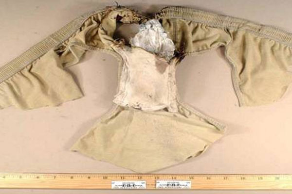 Al-Qaeda underwear bomber 'was double agent'