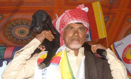 Chandrababu Ready for Elections 