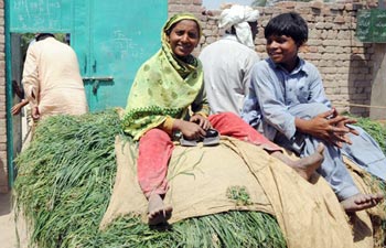 Driven by poverty, Kasab took to crime and jihad 