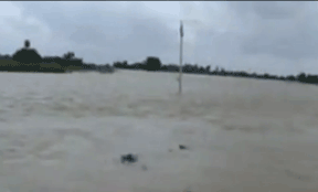 floods-in-nellore