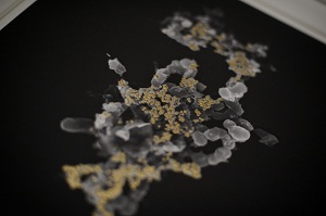 Bacteria turn toxins into gold