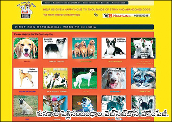 First Dog Matrimonial Website in India