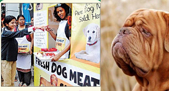 PETA Opens 'Dog Meat' Shop In Hyderabad