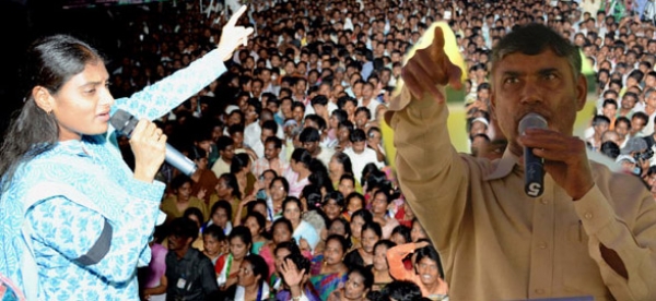 దమ్ముంటే టీ ఇచ్చేయ్యండి-రెచ్చగొట్టిన బాబు - షర్మిల ఫైర్  