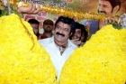 Balakrishna birthday celebrations