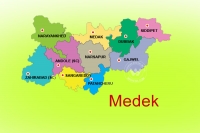 Which rupee wins in medak by poll