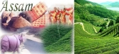 Information about assam tourism