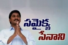 Ys jagan tired in samaikyandhra movement