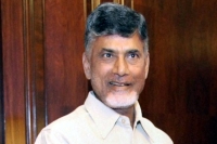 Cm babu says he want to make ap as newzeland in tourism