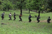 3 maoists killed near ap odisha border