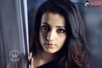 Trisha krishnan tamil young hero jai latest movie updates varun manian
