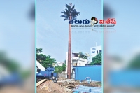 4g tower takes off on coconut tree