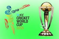 2015 world cup indian cricket team probabales team members