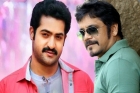 Ntr nagarjuna multi starrer for jilla remake