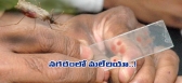 Malaria in vijayawada