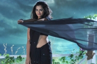 Mollywood offers to premakathachitram nandita