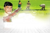Ap government loan waiver policy raises questions in farmers
