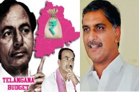 Telanagana govt may allot more budget for mahabubnagar